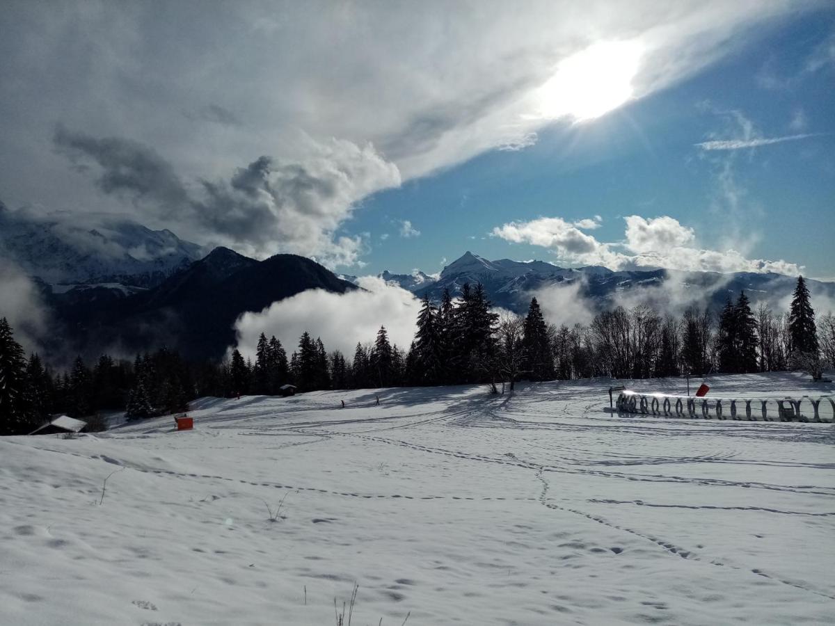 Appartement Mont Étape , F2, 42 m2, Calme, Vue Mt Blanc à Passy  Extérieur photo