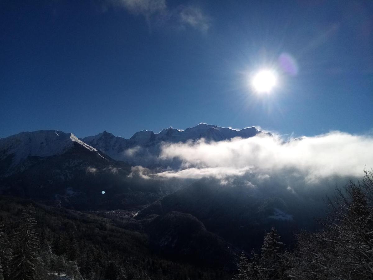 Appartement Mont Étape , F2, 42 m2, Calme, Vue Mt Blanc à Passy  Extérieur photo