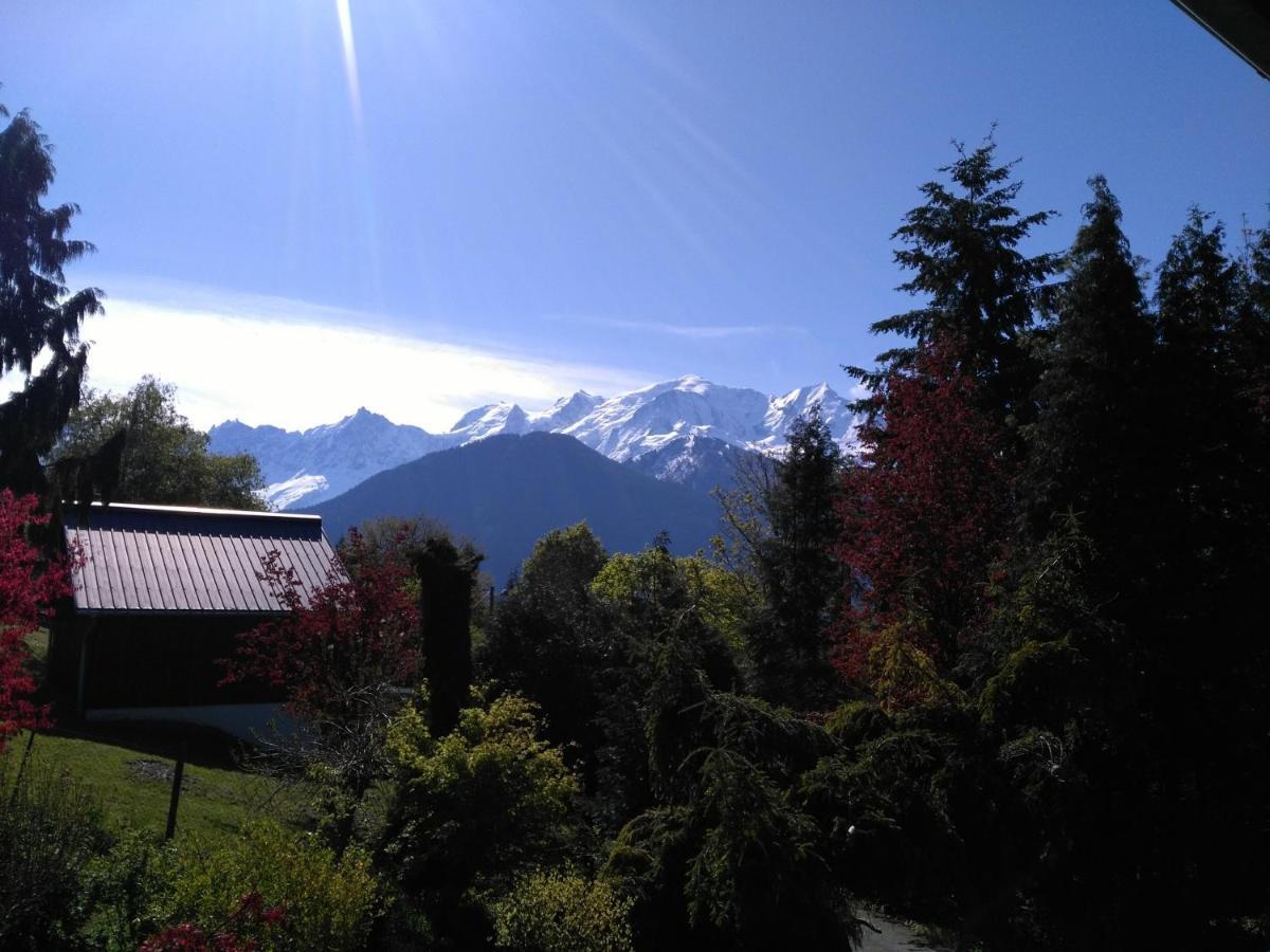 Appartement Mont Étape , F2, 42 m2, Calme, Vue Mt Blanc à Passy  Chambre photo